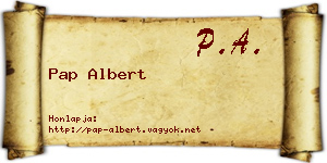 Pap Albert névjegykártya